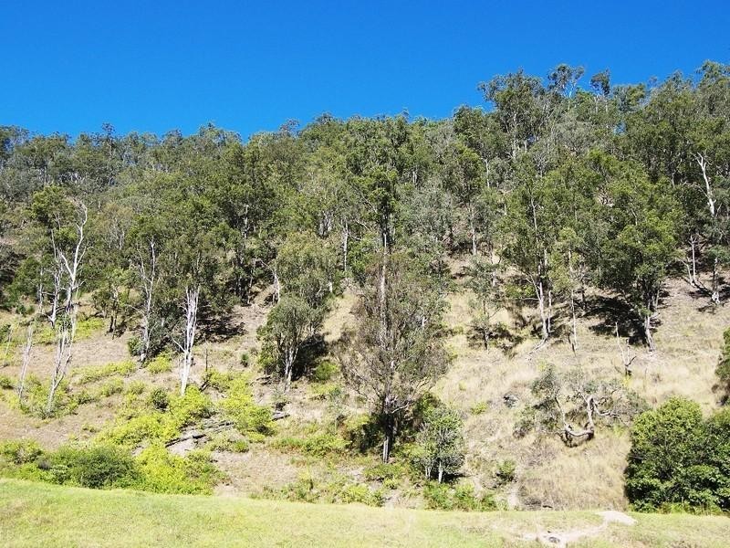 Lower Creek NSW 2440