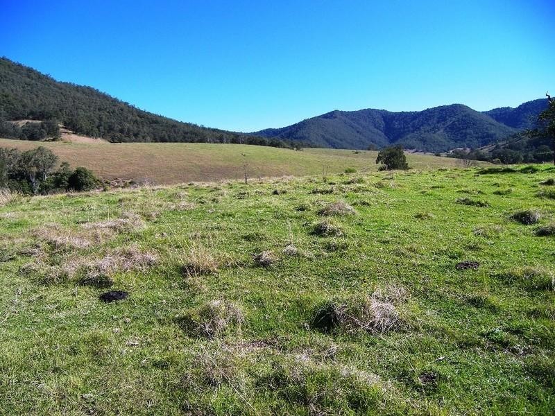 Lower Creek NSW 2440