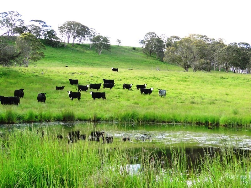 1123 “Old Sherwood” Whites Road, Ben Lomond NSW 2365