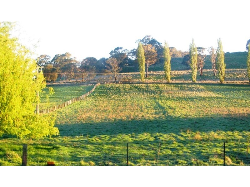 1123 “Old Sherwood” Whites Road, Ben Lomond NSW 2365