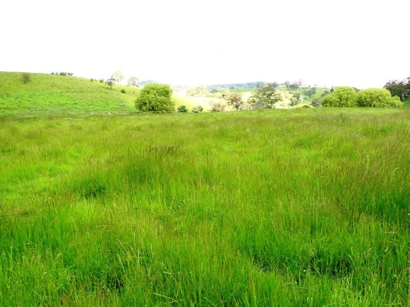 1123 “Old Sherwood” Whites Road, Ben Lomond NSW 2365