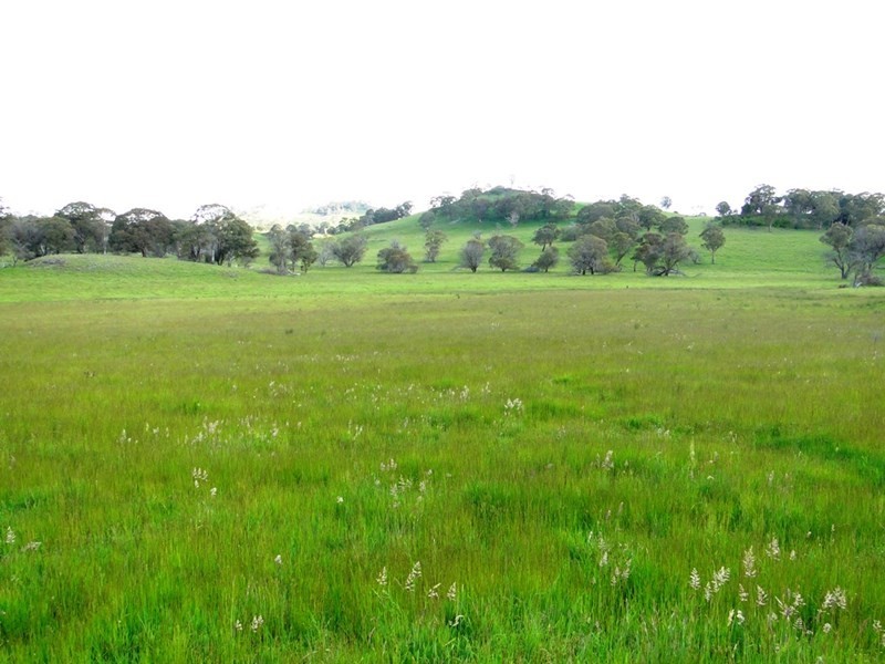 1123 “Old Sherwood” Whites Road, Ben Lomond NSW 2365