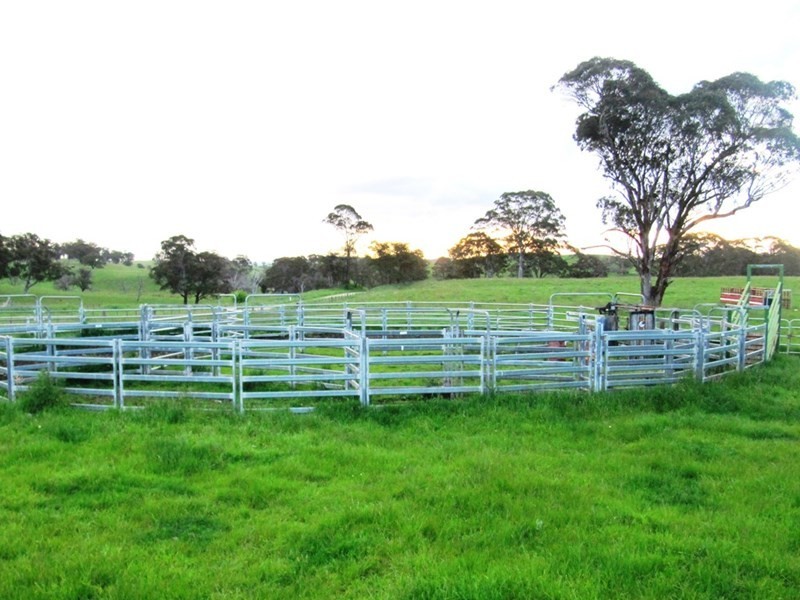 1123 “Old Sherwood” Whites Road, Ben Lomond NSW 2365