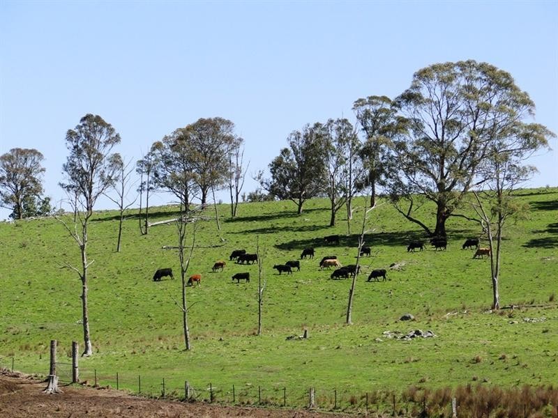 542 “Oaklands” Long Point Road, Armidale NSW 2350