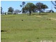 542 “Oaklands” Long Point Road, Armidale NSW 2350
