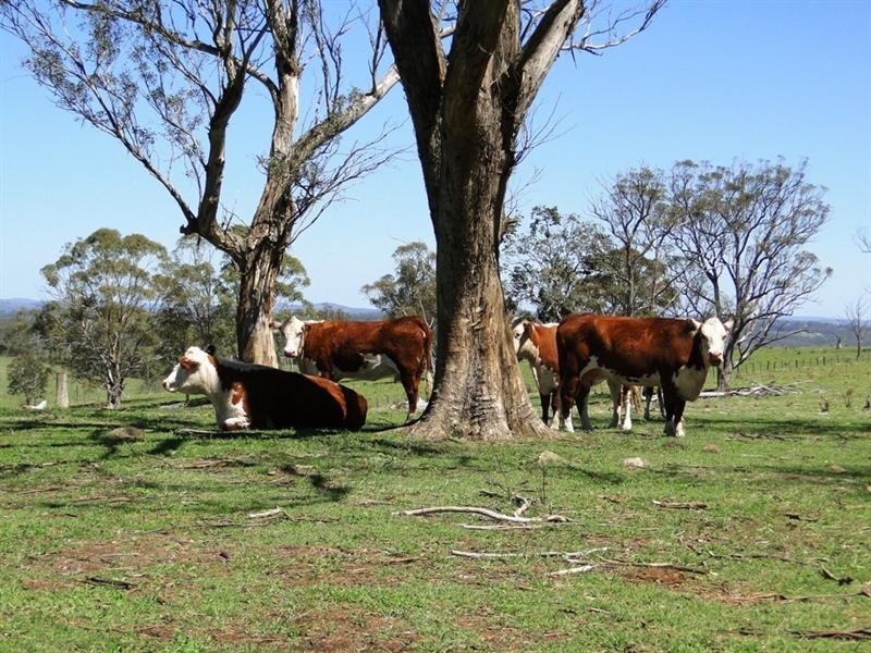 542 “Oaklands” Long Point Road, Armidale NSW 2350