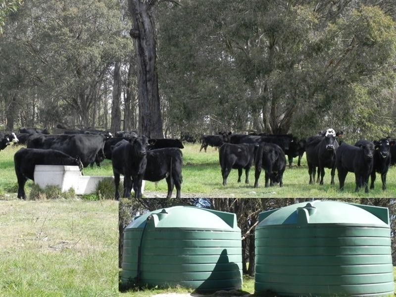 2721 “Springshure” Wards Mistake Road, Guyra NSW 2365