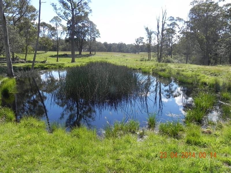 2721 “Springshure” Wards Mistake Road, Guyra NSW 2365