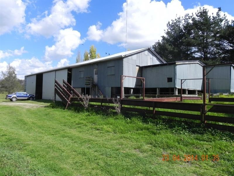 2721 “Springshure” Wards Mistake Road, Guyra NSW 2365