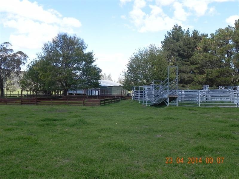 2721 “Springshure” Wards Mistake Road, Guyra NSW 2365