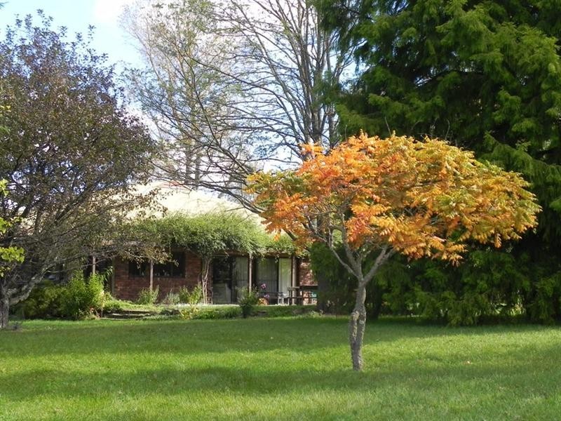 2721 “Springshure” Wards Mistake Road, Guyra NSW 2365