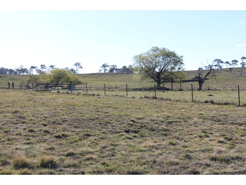 257 ‘Sunnyside’ Wards Mistake Road, Guyra NSW 2365
