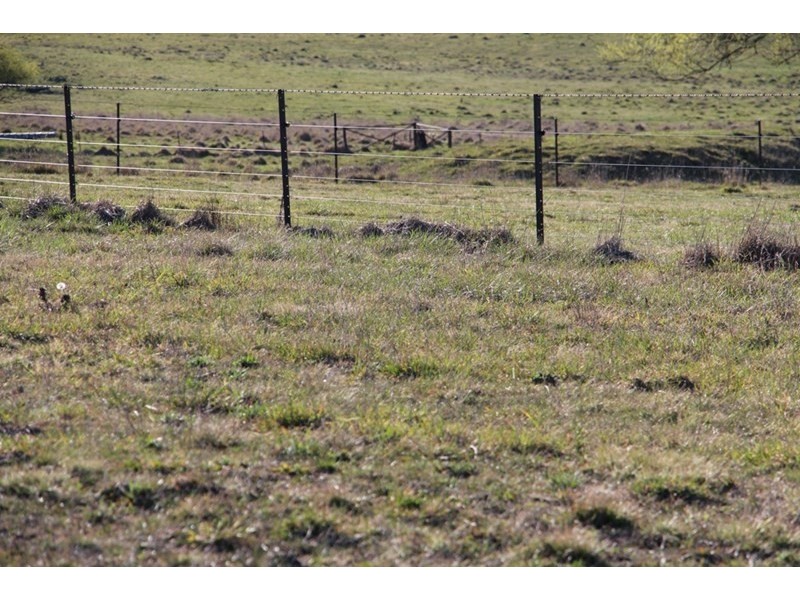 257 ‘Sunnyside’ Wards Mistake Road, Guyra NSW 2365