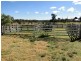 55 ‘Glen Leigh’ Allinghams Road, Uralla NSW 2358