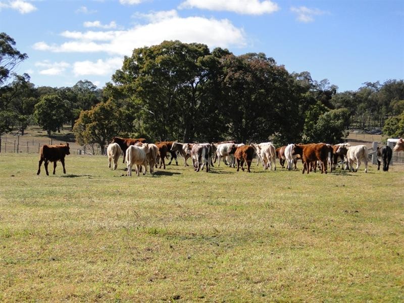 55 ‘Glen Leigh’ Allinghams Road, Uralla NSW 2358