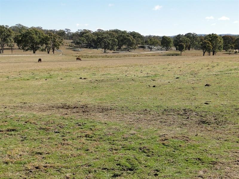 55 ‘Glen Leigh’ Allinghams Road, Uralla NSW 2358