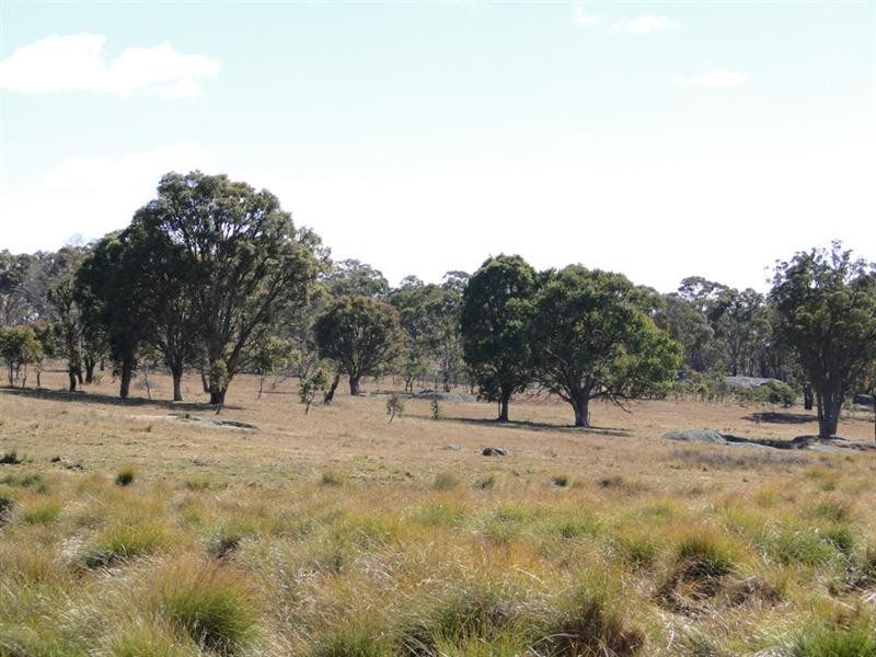 55 ‘Glen Leigh’ Allinghams Road, Uralla NSW 2358