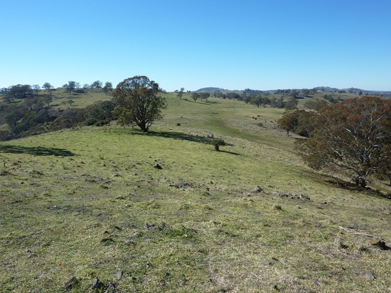 504 ‘Mt Emby’ Moredun Road, Ben Lomond NSW 2365