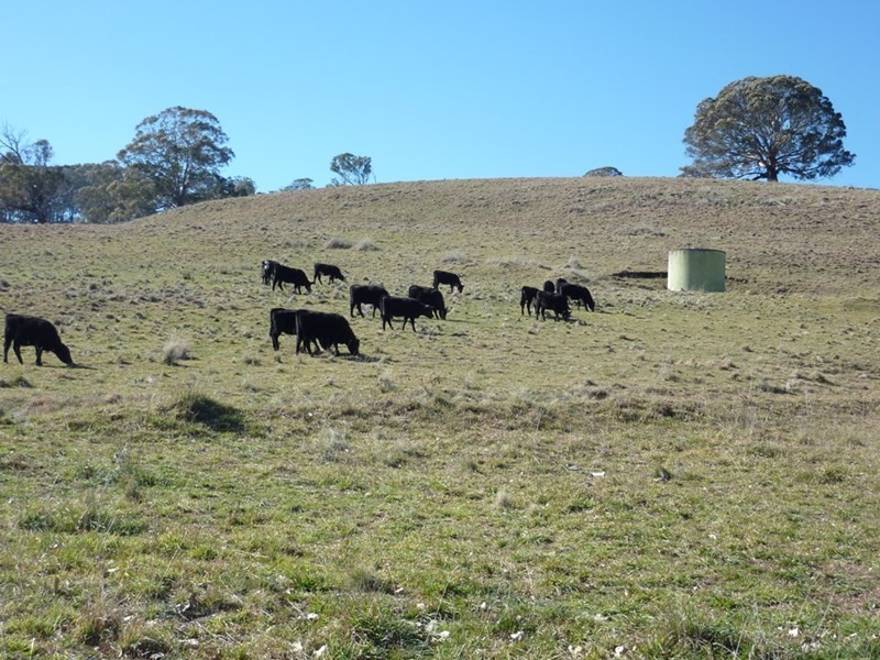 504 ‘Mt Emby’ Moredun Road, Ben Lomond NSW 2365