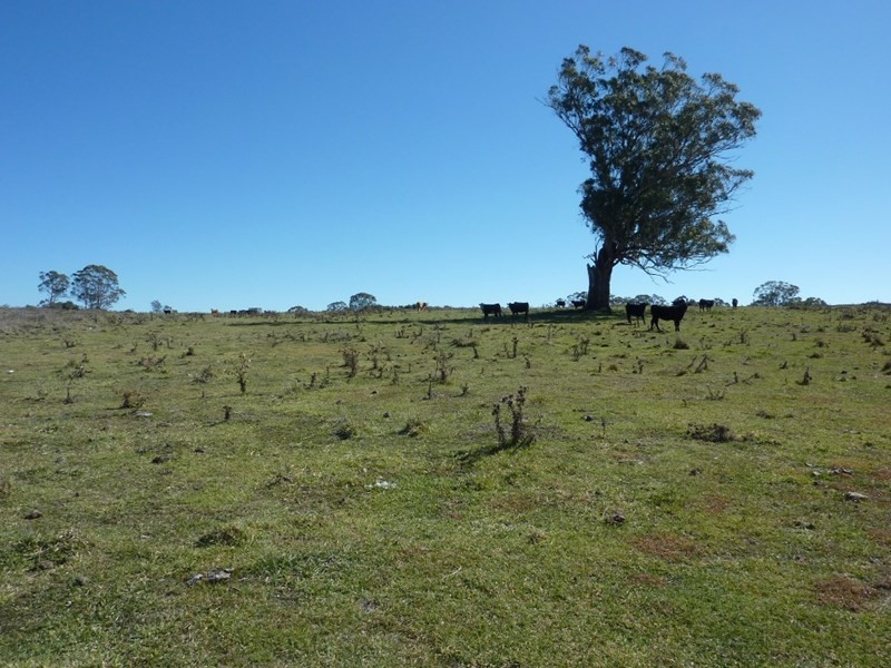 504 ‘Mt Emby’ Moredun Road, Ben Lomond NSW 2365