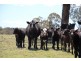 1436 “Apple Tree” Rockvale Road, Armidale NSW 2350