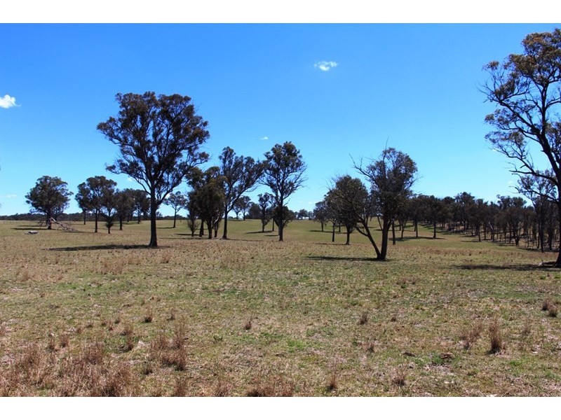 1436 “Apple Tree” Rockvale Road, Armidale NSW 2350