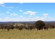 1436 “Apple Tree” Rockvale Road, Armidale NSW 2350