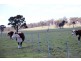 1436 “Apple Tree” Rockvale Road, Armidale NSW 2350