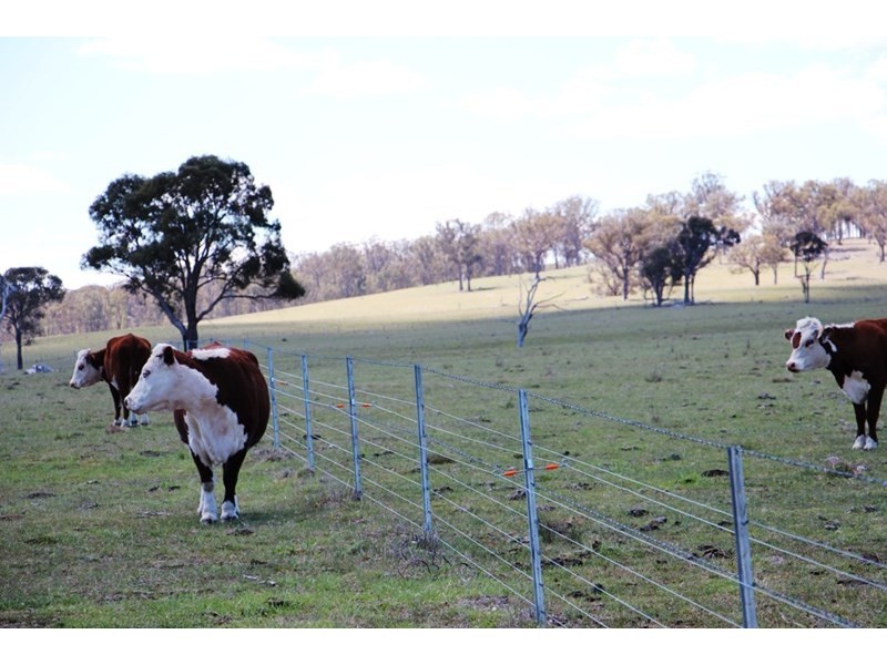 1436 “Apple Tree” Rockvale Road, Armidale NSW 2350