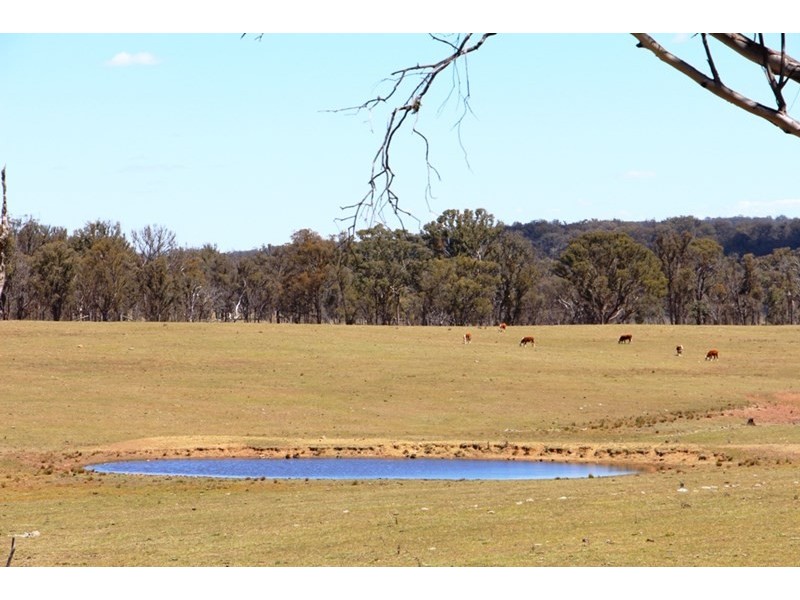 1436 “Apple Tree” Rockvale Road, Armidale NSW 2350