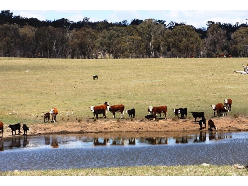 1436 “Apple Tree” Rockvale Road, Armidale NSW 2350