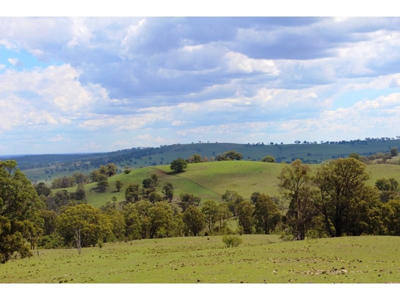 93 Armidale Gully Road, Armidale NSW 2350