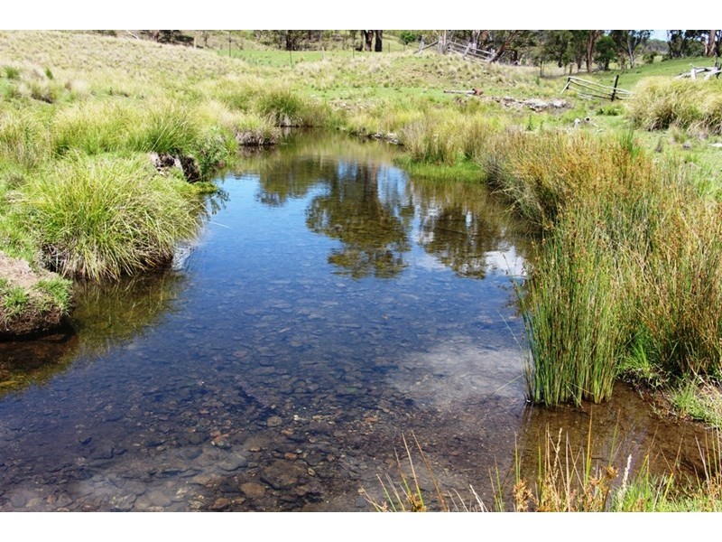 93 Armidale Gully Road, Armidale NSW 2350