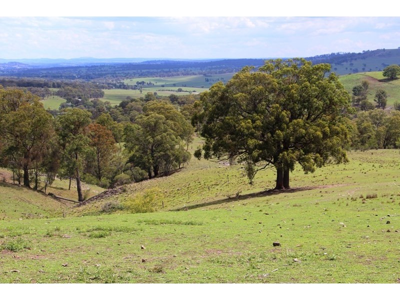 93 Armidale Gully Road, Armidale NSW 2350