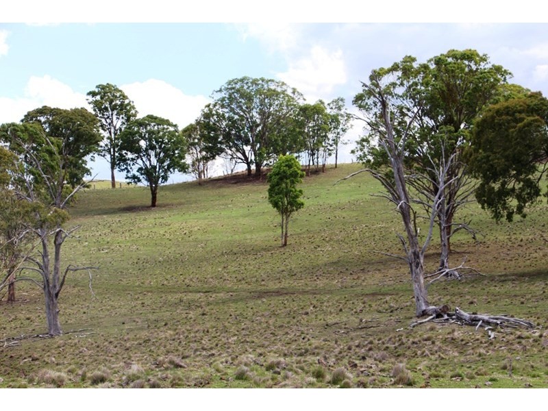 93 Armidale Gully Road, Armidale NSW 2350