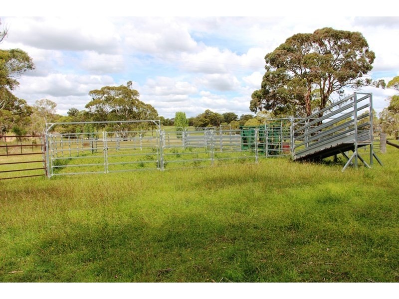 57 ‘The Ridge’ Beckmore Road, Ben Lomond NSW 2365