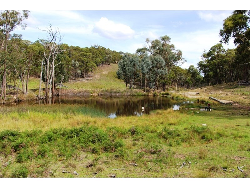 57 ‘The Ridge’ Beckmore Road, Ben Lomond NSW 2365