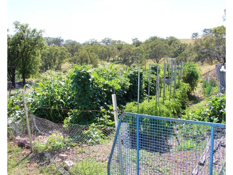 Eliza Farm 3596 Baldersleigh Road, Guyra NSW 2365