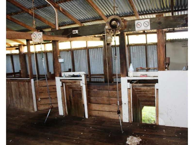 Eliza Farm 3596 Baldersleigh Road, Guyra NSW 2365