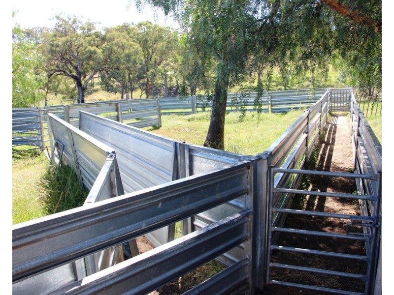 Eliza Farm 3596 Baldersleigh Road, Guyra NSW 2365