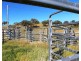 Eliza Farm 3596 Baldersleigh Road, Guyra NSW 2365