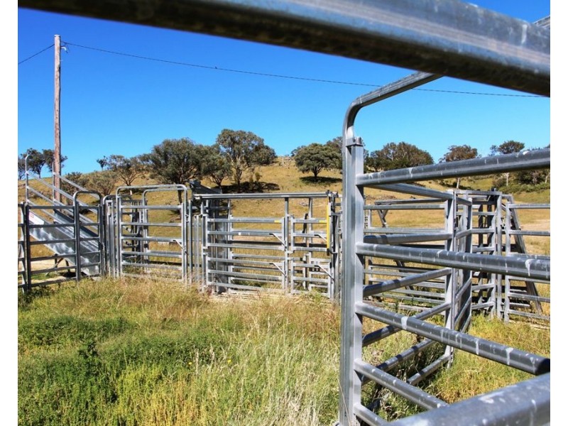 Eliza Farm 3596 Baldersleigh Road, Guyra NSW 2365