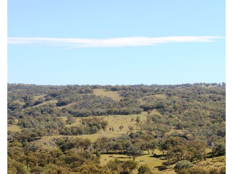 Eliza Farm 3596 Baldersleigh Road, Guyra NSW 2365