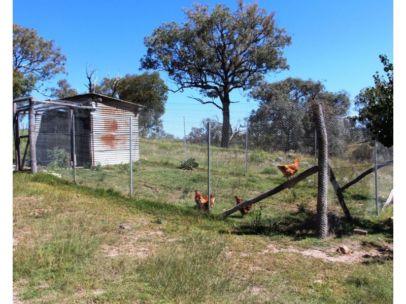 Eliza Farm 3596 Baldersleigh Road, Guyra NSW 2365