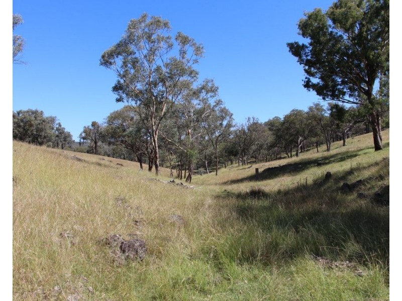 Eliza Farm 3596 Baldersleigh Road, Guyra NSW 2365