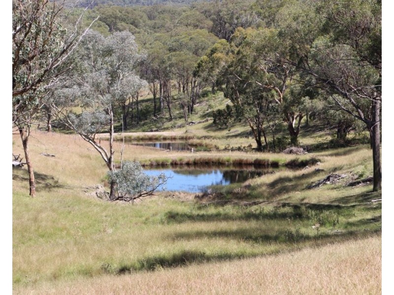 Eliza Farm 3596 Baldersleigh Road, Guyra NSW 2365