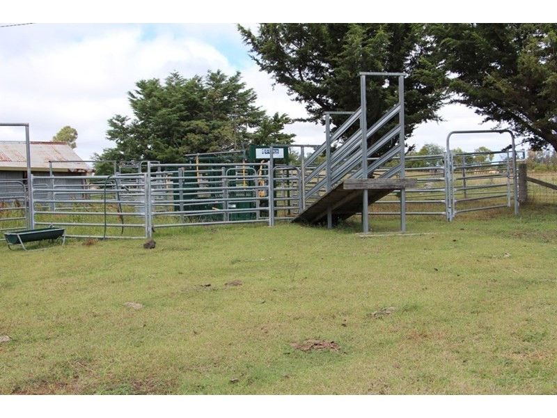 241 Enmore Road, Armidale NSW 2350