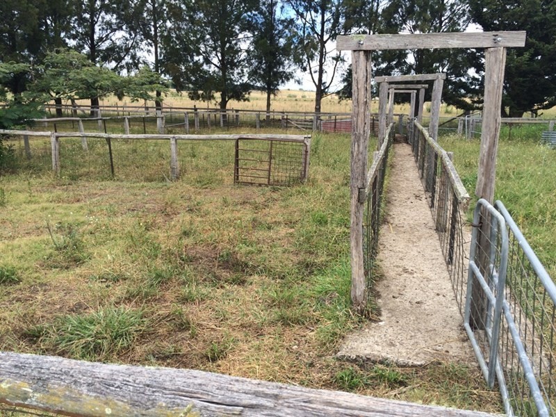 241 Enmore Road, Armidale NSW 2350