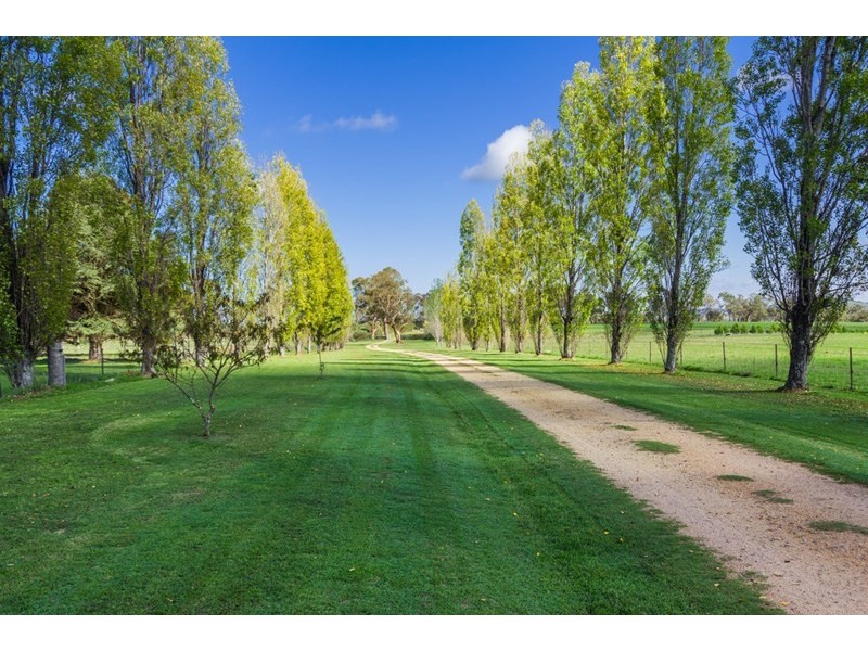 211 Dangars Falls Road, Armidale NSW 2350