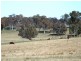 Walcha NSW 2354